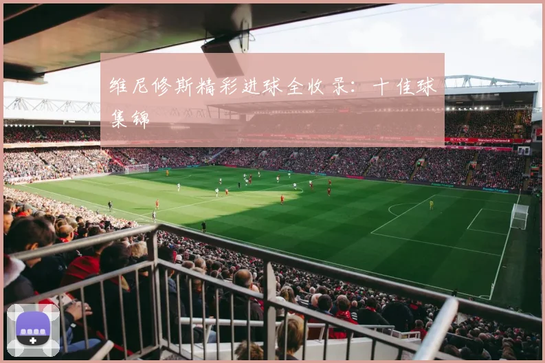 维尼修斯精彩进球全收录:十佳球集锦